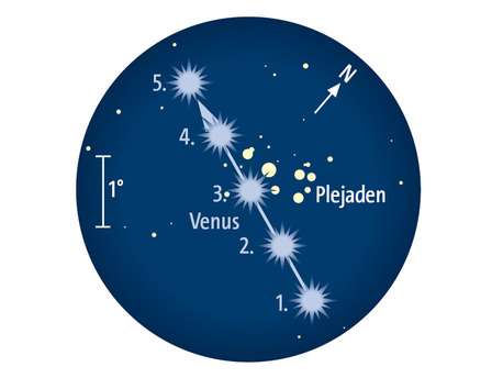 Venus passiert am 3. April den offenen Sternhaufen der Plejaden im Stier. Fernglasanblick bei 5° Gesichtsfelddurchmesser.