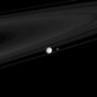 Two moons that have profound impacts on the rings, Mimas and Prometheus here with the F ring. Mimas , the larger one, creates the Cassini division between the A and B rings. Prometheus is half of a duo responsible for maintaining the narrow F ring.