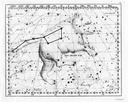 This illustration from Johann Elert Bode's 1782 star atlas shows the constellation of the Great Bear. The seven brightest stars of the Great Bear are also known as the Big Dipper or Plough in English.