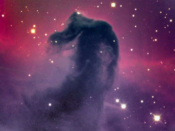 Der Pferdekopfnebel ist eine dunkle Wolke aus Gas und kosmischem Staub. Mehr als 1000 Lichtjahre entfernt, versperrt er die Sicht auf dahinter liegende Sterne und Emissionsnebel.
