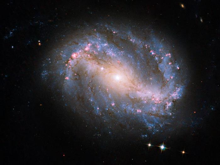 Das erste Foto eines Himmelskörpers mit der neuen Kamera überhaupt machte Hubble von der Galaxie NGC 6217. Die Galaxie liegt sechs Millionen Lichtjahre von der Erde entfernt im Sternbild Großer Bär. 