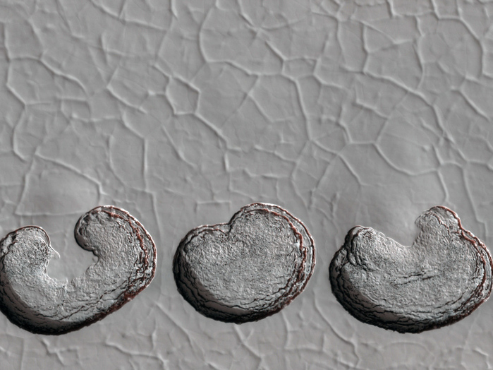 Erosionsreste an der südpolaren Eiskappe des Mars.