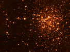 New observations of the globular cluster Terzan 5 suggest that it is a remnant of a pre-existing proto-galaxy which contributed to the formation of the Milky Way bulge. 