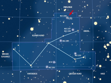 Beobachtungstipp März Das unscheinbare Einhorn