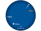 Beobachtungstipp August 2010 Am 30. August stehen Mars und Venus nahe bei Spica in der Jungfrau.