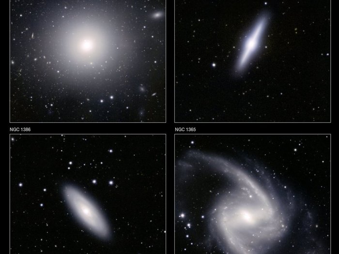 Arriba a la izquierda: La galaxia elíptica NGC 1399 es una de las más grandes y más brillantes de las galaxias en el cúmulo. 

Abajo a la izquierda: La galaxia espiral NGC 1386 es uno de los miembros más pequeños de la agrupación. 

Arriba a la derecha: La galaxia NGC 1381 es una galaxia de tipo lenticular - a medio camino entre una elíptica y una espiral.

Inferior derecho: La galaxia NGC 1365.