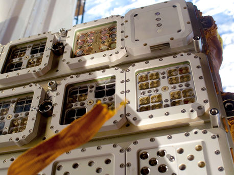 Larga y próspera vida, Xanthoria elegans La Xanthoria Elegans que viajó a bordo de Expose-E fue recogida en las montañas de España