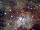 Maternidad Estelar NGC 3603