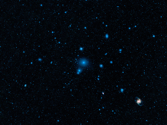 The cluster, called Fornax because of its location in a constellation of the same name, is 60 million light-years from Earth, and is one of the closest galaxy clusters to the Milky Way. Clusters are large families of galaxies that are gravitationally bound together, containing enough matter to pull even distant galaxies toward them. 