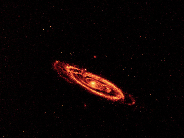 This image highlights the dust that speckles the Andromeda galaxy's spiral arms. It shows light seen by the longest-wavelength infrared detectors on WISE (12-micron light has been color coded orange, and 22-micron light, red).

The hot dust, which is being heated by newborn stars, traces the spidery arms all the way to the center of the galaxy. Telltale signs of young stars can also be seen in the centers of Andromeda's smaller companion galaxies, M32 and M110.