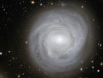 Esta imagen tomada con el Telescopio Espacial Hubble de la NASA / ESA,  muestra la galaxia espiral NGC 4921, junto con un espectacular telón de fondo de las galaxias más distantes.