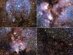 Lo más destacado de la imagen infrarroja de la Nebulosa Pata de Gato tomada por VISTA