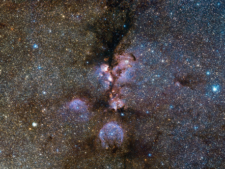 Infrarotbild des Katzenpfotennebels, aufgenommen mit VISTA 