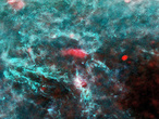 Región de la constelación de Perseus, observada por Planck.