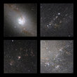Some highlights from the infrared view of the classic spiral galaxy Messier 83 taken with the HAWK-I camera on ESO’s Very Large Telescope. As well as showing the structure of the galaxy without the obscuring effect of dust, huge numbers of stars within the galaxy are revealed.