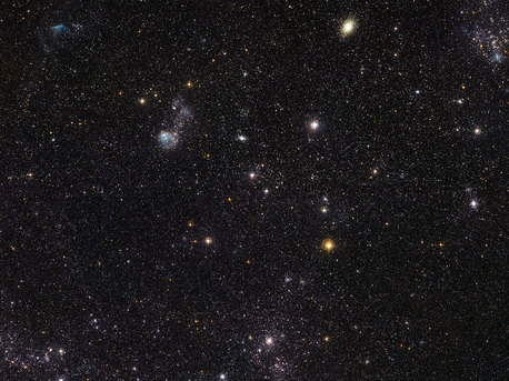 A Cosmic Zoo in the Large Magellanic Cloud