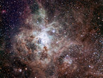 This first light image of the TRAPPIST national telescope at La Silla shows the Tarantula Nebula, located in the Large Magellanic Cloud (LMC) — one of the galaxies closest to us. Also known as 30 Doradus or NGC 2070, the nebula owes its name to the arrangement of bright patches that somewhat resembles the legs of a tarantula. Taking the name of one of the biggest spiders on Earth is very fitting in view of the gigantic proportions of this celestial nebula — it measures nearly 1000 light-years across! Its proximity, the favourable inclination of the LMC, and the absence of intervening dust make this nebula one of the best laboratories to help understand the formation of massive stars better. The image was made from data obtained through three filters (B, V and R) and the field of view is about 20 arcminutes across.
