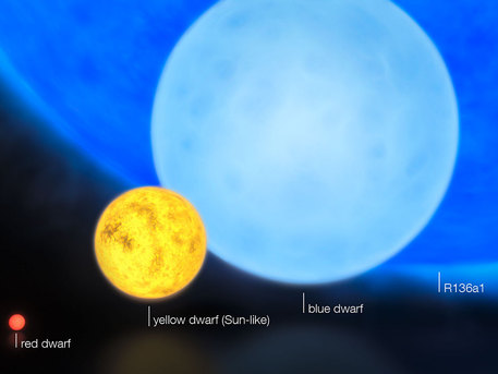 Stern-Massen Diese künstlerische Darstellung zeigt die relative Größe junger Sterne von den kleinsten Roten Zwergen mit 0,1 Sonnenmassen über wenig massereichen "Gelben Zwergen" wie der Sonne zu massereichen "Blauen Zwergen" mit achtfacher Sonnenmasse oder dem mehr als 300 Sonnenmassen wiegenden Stern namens R136a1.