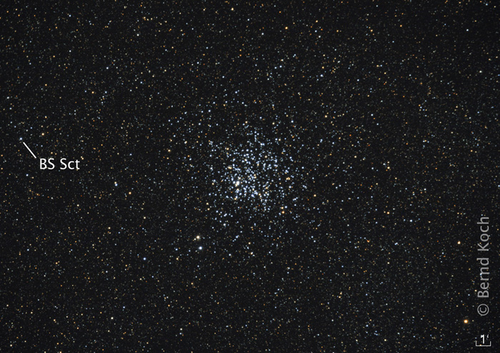 Der Wildentensternhaufen M 11 mit einem Meade 14''-ACF-Teleskop und 0,8x-Reducer. Brennweite: 3000mm, Kamera: modifizierte Canon EOS 5D (Vollformat), Gesamtbelichtung 21 Minuten am 3.6.2008 auf Farm Tivoli, Namibia. Foto: Bernd Koch.