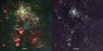 The left-hand panel shows the region around the Tarantula Nebula in visible light. Most of the light from the spectacular clouds comes from hydrogen gas glowing under the fierce ultraviolet glare from the central hot young stars. This visible light image was obtained with Wide Field Imager on the MPG/ESO 2.2-metre telescope at ESO’s La Silla Observatory in Chile.

On the right VISTA’s new infrared view is shown. By observing in infrared light a subtly different view of the nebula is revealed. As the infrared wavelengths can pass through the obscuring clouds of interstellar dust more easily than visible light, the VISTA image reveals the stars at the centres of the nebulae more clearly.