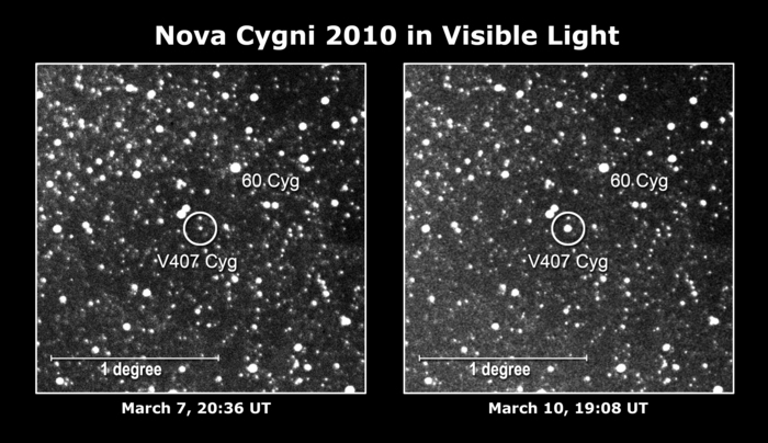 Japanese amateur astronomers discovered Nova Cygni 2010 in an image taken at 19:08 UT on March 10 (4:08 a.m. Japan Standard Time, March 11). The erupting star (circled) was 10 times brighter than in an image taken several days earlier. The nova reached a peak brightness of magnitude 6.9, just below the threshold of naked-eye visibility. 