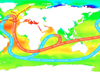 Salinidad media de las aguas superficiales y circulación oceánica. Las areas en rojo, indican el alto grado de salinidad en cambio las verdes las areas con bajo nivel de salinidad. 