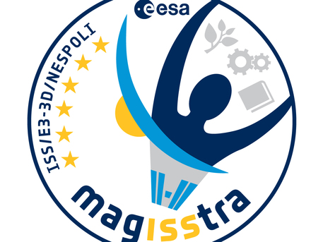 MagISStra patch