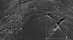 A la izquierda de la imagen se puede observar un cráter de impacto, desgarrado por la acción de la fosa tectónica, lo que le confiere una inusual silueta elíptica.

Las otras grandes estructuras ovaladas de la imagen no presentan las características crestas de los cráteres de impacto, por lo que se cree que fueron provocadas por el colapso del terreno. 