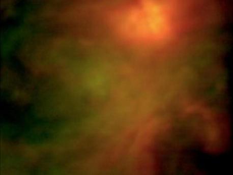 Während vorangegangener Charakterisierungsflüge haben die Forscher mit dem FORCAST-Instrument an Bord von SOFIA Infrarotaufnahmen von den komplexen Sternentstehungsgebieten des Sternbildes Orion bei 19 und 37 Mikrometern gemacht (siehe Bild rechts). Während des ersten Wissenschaftsflugs in der Nacht auf den 1. Dezember 2010 konnten diese Beobachtungen nun unter wissenschaftlichen Bedingungen erweitert werden. Aktuelle Bilder dieses Fluges werden in Kürze zur Verfügung stehen.

Das Infrarotbild des Sternentstehungsgebiets im Zentrum des Orion-Nebels (M42) wurde mit der Infrarotkamera FORCAST (Leitender Wissenschaftler: Terry Herter, Cornell University) im mittleren Infrarotbereich an Bord von SOFIA aufgenommen. Wissenschaftler setzten es aus zwei Aufnahmen bei 20 (grün) und 37 (rot) Mikrometern zusammengesetzt. Es gibt einen detaillierten Einblick in die dichten Gas- und Staubwolken, in denen gerade neue Sterne entstehen. Rechts oben im Bild ist die Wärmestrahlung des neu entstandenen Sternhaufens zu sehen.

Mit SOFIA können Beobachtungen bei Infrarotwellenlängen durchgeführt werden, die zurzeit von keinem erdgebundenen oder satellitengestützten Teleskop erfasst werden können.