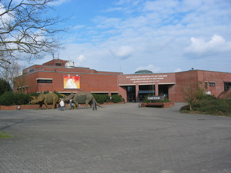 Das Westfälische Museum für Naturkunde mit Planetarium.