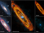 The Andromeda Galaxy is our nearest large galactic neighbour, containing several hundred billion stars. Combined, these images show all stages of the stellar life cycle. The infrared image from Herschel shows areas of cool dust that trace reservoirs of gas in which forming stars are embedded. The optical image shows adult stars. XMM-Newton’s X-ray image shows the violent endpoints of stellar evolution, in which individual stars explode or pairs of stars pull each other to pieces.