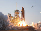 Start der Discovery am 24. Februar 2011 um 22.53 Uhr MEZ von Cape Canaveral.

Läuft alles nach Plan, wird das Space Shuttle am 26. Februar 2011 an der Internationalen Raumstation (ISS) andocken. An Bord ist neben sechs Astronauten auch ein dem Menschen ähnlicher Roboter, der Robonaut R2. Insgesamt dauert die Mission STS-133 elf Tage bis zum 7. März 2011.