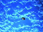 PRISMA ist die erste europäische Satellitenmission, die den autonomen Formationsflug in Abständen zwischen 30 Kilometern und zwei Metern demonstriert. Der Hauptsatellit Mango und sein Partnersatellit Tango umfliegen sich gegenseitig in immer wieder unterschiedlichen Formationen während sie die Erde umrunden. Bahnkontrolle und Navigation führen die Satelliten selbstständig aus.