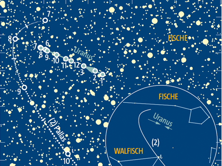 Scheinbare Bahn des Planeten Uranus im Sternbild Fische von Januar bis März und von Juni bis Dezemeber 2012. Eingetragen ist ferner die Bahn des Kleinplaneten Pallas von Juli bis Oktober 2012.