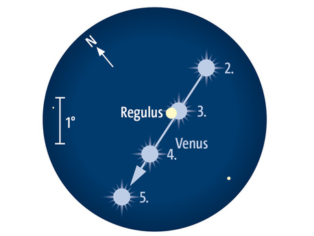 Venus zieht am 3. Oktober an Regulus im Löwen vorbei. Fernglasanblick bei 5° Gesichtsfeld.