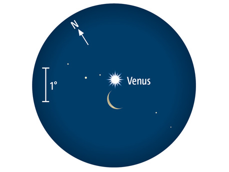 Am 26. Februar kommen sich Venus und Mond morgens gegen 6 Uhr MEZ sehr nahe. Der Planet steht diesen Monat in größtem Glanz.
