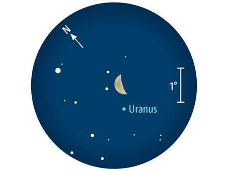 Der abnehmende Mond wandert am 21. Juni an Uranus in den Fischen vorbei. Fernglasanblick gegen 2 Uhr MEZ (= 3 Uhr MESZ) bei 5 Grad Gesichtsfeld.