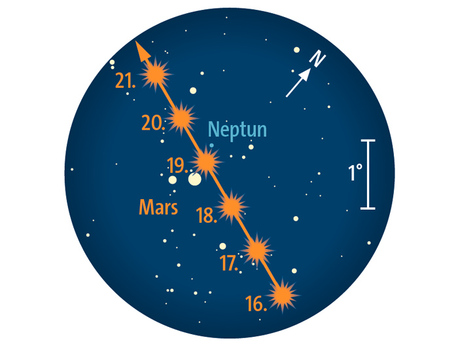 Mars zieht am 19. Januar knapp an Neptun vorbei. Abendlicher Fernglasanblick bei 5° Gesichtsfelddurchmesser.