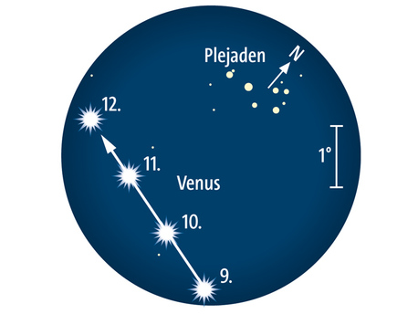 Venus passiert vom 9. bis 12. April die Plejaden im Sternbild Stier. Ende April zieht Merkur noch etwas näher an den Plejaden vorbei.