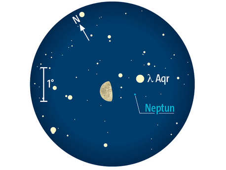 Der abnehmende Mond steht am 26. Juni nahe Neptun. Fernglasanblick gegen 2 Uhr MEZ (= 3 Uhr MESZ) bei 5° Gesichtsfeld.