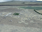 Allen Telescope Array (ATA)

