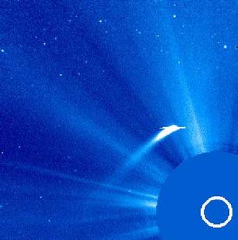 Komet Machholz 1 am 8. Januar als er nahe an der Sonne vorbeifliegt