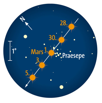 Mars zieht durch die Praesepe.
