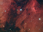 Der Pelikan-Nebel im Sternbild Schwan