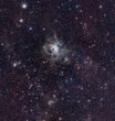This pan sequence gives a closer view of a new VISTA image of the Tarantula Nebula in the Large Magellanic Cloud and the very rich surrounding area of sky. Many regions of star-formation, and many clusters of hot young stars are seen in great detail.

This infrared image, made with ESO’s VISTA survey telescope, is from the VISTA Magellanic Cloud Survey. The project will scan a vast area — 184 square degrees of the sky (corresponding to almost one thousand times the apparent area of the full Moon), including our nearby neighbouring galaxies the Large and Small Magellanic Clouds.